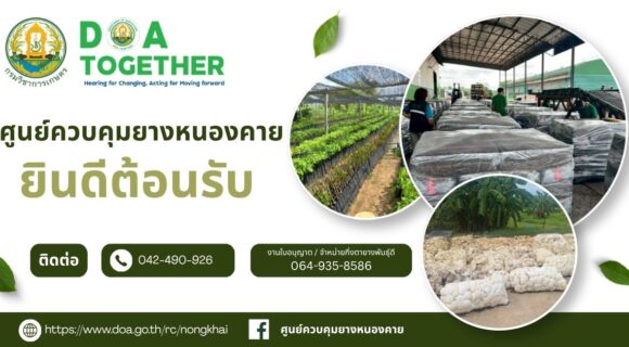 ศูนย์ควบคุมยางหนองคาย