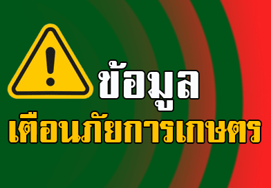 ข้อมูลเตือนภัยการเกษตร ระหว่างวันที่ 31 พฤษภาคม – 13 มิถุนายน 2566