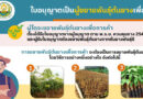 INFOGRAPHIC ใบอนุญาตเป็นผู้ขยายพันธุ์ต้นยางเพื่อการค้า, การออกใบอนุญาตขยายพันธุ์ต้นยางเพื่อการค้า