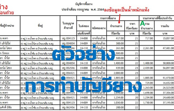ตัวอย่างการทำบัญชียาง