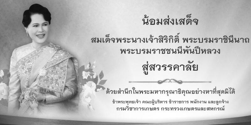 พระราชกรณียกิจ คลิ๊กที่ภาพ พระราชกรณียกิจ คลิ๊กที่ภาพ