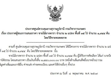 ประกาศผู้ชนะการขายทอดตลาดไม้ยางพารา