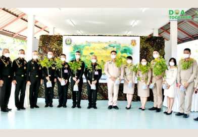 นายระพีภัทร์ จันทรศรีวงศ์ อธิบดีกรมวิชาการเกษตร ร่วมปลูกต้นทองอุไร เพื่อเทิดพระเกียรติพระบาทสมเด็จพระบรมชนกาธิเบศร มหาภูมิพลอดุยเดชมหาราช บรมนาถบพิตร และถวายเป็นพระราชกุศล แด่สมเด็จพระเจ้าลูกเธอ เจ้าฟ้าพัชรกิติยาภา นเรนทิราเทพยวดี กรมหลวงราชสาริณีสิริพัชร มหาวัชรราชธิดา