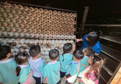 2568-01-12 (สวนฯ55พรรษา) (22)