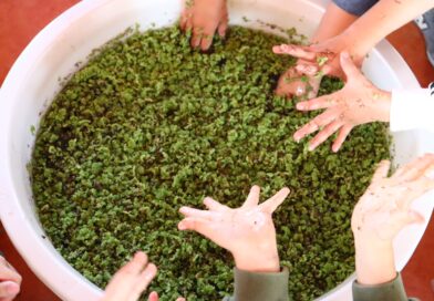 2568-01-12 (สวนฯ55พรรษา) (4)