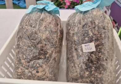 2569-04-03 พกฉ. (17)