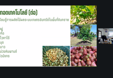 2569-06-12 online oard6 (12)