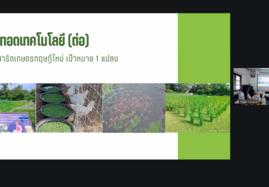 2569-06-12 online oard6 (13)