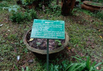 2569-06-16 อพ.สธ. (12)