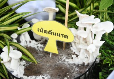 2569-06-17 กรมฯร่วมรับเสด็จ (16)