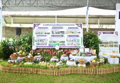 2569-06-17 กรมฯร่วมรับเสด็จ (17)