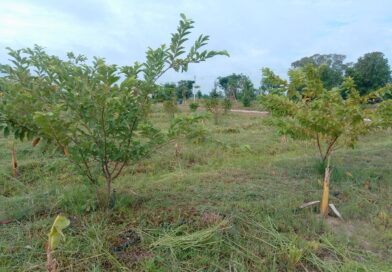 2569-06-19 เกริ่นกระถิน จ.นครสวรรค์ (12)