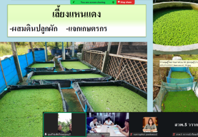 2569-06-30 online oard5 (31)