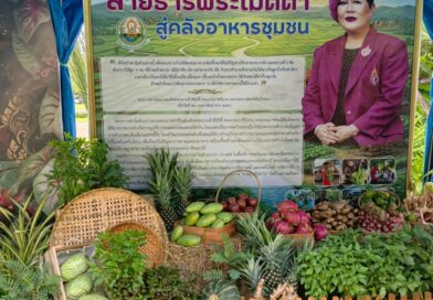 2569_07_21 สีสรรพรรณไม้ แถลงข่าว (9)