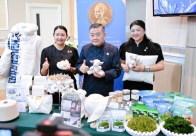 2569-08-17 เตรียมงานน้อมรำลึกพระพันปีหลวง (17)