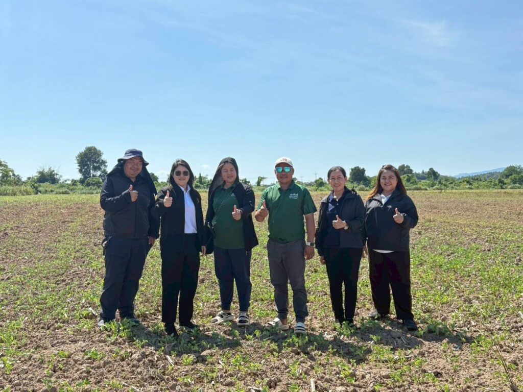 วันที่ 29 ตุลาคม 2568 นางสาวกัณทิมา ทองศรี ผู้อำนวยการศูนย์วิจัยและพัฒนาเมล็ดพันธุ์พืชเชียงใหม่ พร้อมด้วยนักวิชาการเกษตรและเจ้าหน้าที่ศูนย์ฯ ลงพื้นที่สำรวจแปลงผลิตเมล็ดพันธุ์                ถั่วเขียว และติดตามความก้าวหน้าในการเตรียมความพร้อมการ           ผลิตเมล็ดพันธุ์ถั่วเขียวพันธุ์ กวก.ชัยนาท 3 รวมทั้งให้คำแนะนำ              ด้านการป้องกันกำจัดโรคและแมลงศัตรูพืช ตลอดจนหารือแนวทางการพัฒนากลุ่มเกษตรกรให้เป็นผู้ผลิตเมล็ดพันธุ์ เพื่อดำเนินการผลิตเมล็ดพันธุ์ถั่วเขียวชั้นพันธุ์จำหน่าย ภายใต้โครงการพัฒนาศักยภาพกระบวนการผลิตสินค้าเกษตร (ผลิตพันธุ์พืชและปัจจัยการผลิต) ปีงบประมาณ พ.ศ. 2569 ณ แปลงเกษตรกร อำเภอพญาเม็งราย จังหวัดเชียงราย