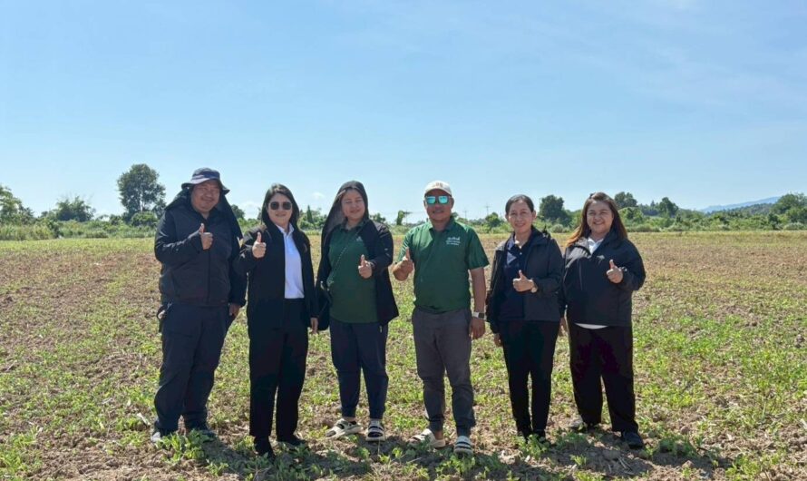 วันที่ 29 ตุลาคม 2568 นางสาวกัณทิมา ทองศรี ผู้อำนวยการศูนย์วิจัยและพัฒนาเมล็ดพันธุ์พืชเชียงใหม่ พร้อมด้วยนักวิชาการเกษตรและเจ้าหน้าที่ศูนย์ฯ ลงพื้นที่สำรวจแปลงผลิตเมล็ดพันธุ์                ถั่วเขียว และติดตามความก้าวหน้าในการเตรียมความพร้อมการ           ผลิตเมล็ดพันธุ์ถั่วเขียวพันธุ์ กวก.ชัยนาท 3 รวมทั้งให้คำแนะนำ              ด้านการป้องกันกำจัดโรคและแมลงศัตรูพืช ตลอดจนหารือแนวทางการพัฒนากลุ่มเกษตรกรให้เป็นผู้ผลิตเมล็ดพันธุ์ เพื่อดำเนินการผลิตเมล็ดพันธุ์ถั่วเขียวชั้นพันธุ์จำหน่าย ภายใต้โครงการพัฒนาศักยภาพกระบวนการผลิตสินค้าเกษตร (ผลิตพันธุ์พืชและปัจจัยการผลิต) ปีงบประมาณ พ.ศ. 2569 ณ แปลงเกษตรกร อำเภอพญาเม็งราย จังหวัดเชียงราย