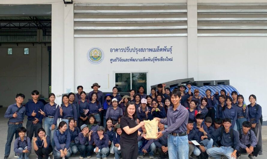 วันที่ 6 มีนาคม 2569 ศูนย์วิจัยและพัฒนาเมล็ดพันธุ์พืชเชียงใหม่ โดย นางสาวกัณทิมา ทองศรี ผู้อำนวยการศูนย์วิจัยและพัฒนาเมล็ดพันธุ์พืชเชียงใหม่ มอบหมายให้ นางสาวสุมนา จำปา นักวิชาการเกษตรชำนาญการพิเศษ พร้อมเจ้าหน้าที่ ให้การต้อนรับคณะอาจารย์และนักศึกษา สาขาพืชผัก คณะผลิตกรรมการเกษตร มหาวิทยาลัยแม่โจ้ ชั้นปีที่ 3 จำนวน 60 คน ในการเยี่ยมชมและศึกษาดูงานระบบการผลิตเมล็ดพันธุ์ การปรับปรุงสภาพและการเก็บรักษาเมล็ดพันธุ์ และการตรวจสอบรับรองคุณภาพและสุขอนามัยเมล็ดพันธุ์พืช ณ ศูนย์วิจัยและพัฒนาเมล็ดพันธุ์พืชเชียงใหม่ เพื่อเสริมสร้างทักษะความรู้ ความเข้าใจในการเรียน หลักสูตร เทคโนโลยีการผลิตเมล็ดพันธุ์พืชสวน และเป็นแนวทางในการประกอบอาชีพต่อไป