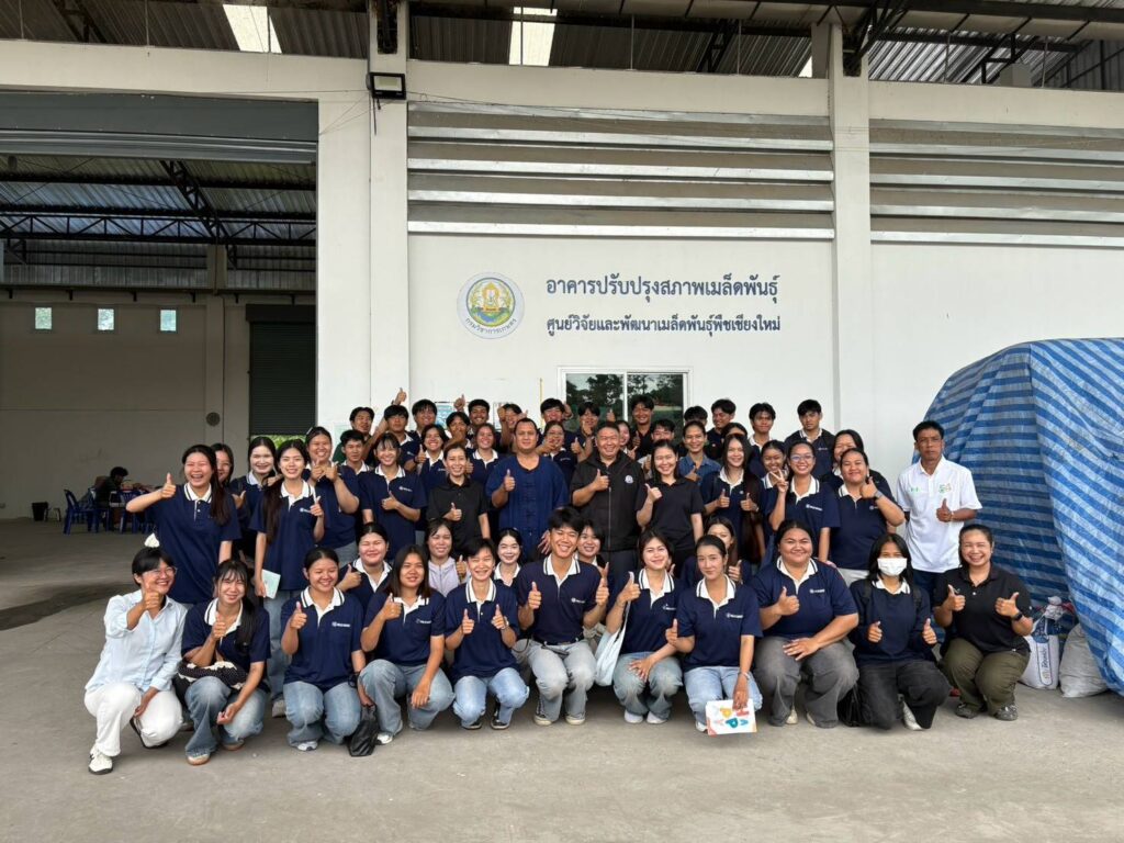 วันศุกร์ที่ 18 กันยายน 2569 ศูนย์วิจัยและพัฒนาเมล็ดพันธุ์พืชเชียงใหม่ ได้ให้การต้อนรับอาจารย์และนักศึกษา คณะผลิตกรรมการเกษตร มหาวิทยาลัยแม่โจ้ จำนวน 50 คน เพื่อเข้าศึกษาดูงานและรับฟังการบรรยาย เกี่ยวกับงานผลิตเมล็ดพันธุ์ งานปรับปรุงสภาพเมล็ดพันธุ์ การเก็บรักษาเมล็ดพันธุ์ การตรวจรับรองคุณภาพเมล็ดพันธุ์ รวมถึงการจัดการด้านการแจกจ่ายและจำหน่ายเมล็ดพันธุ์ของศูนย์ฯ เพื่อเป็นการเพิ่มพูนทักษะความรู้และประสบการณ์นอกห้องเรียนให้แก่นักศึกษา ในการจัดการเมล็ดพันธุ์ให้มีคุณภาพและสามารถเข้าใจธุรกิจเมล็ดพันธุ์เบื้องต้นได้