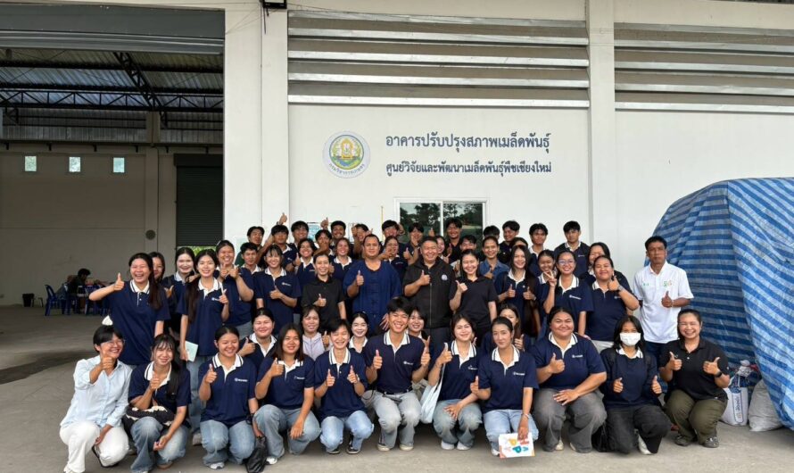 วันศุกร์ที่ 18 กันยายน 2569 ศูนย์วิจัยและพัฒนาเมล็ดพันธุ์พืชเชียงใหม่ ได้ให้การต้อนรับอาจารย์และนักศึกษา คณะผลิตกรรมการเกษตร มหาวิทยาลัยแม่โจ้ จำนวน 50 คน เพื่อเข้าศึกษาดูงานและรับฟังการบรรยาย เกี่ยวกับงานผลิตเมล็ดพันธุ์ งานปรับปรุงสภาพเมล็ดพันธุ์ การเก็บรักษาเมล็ดพันธุ์ การตรวจรับรองคุณภาพเมล็ดพันธุ์ รวมถึงการจัดการด้านการแจกจ่ายและจำหน่ายเมล็ดพันธุ์ของศูนย์ฯ เพื่อเป็นการเพิ่มพูนทักษะความรู้และประสบการณ์นอกห้องเรียนให้แก่นักศึกษา ในการจัดการเมล็ดพันธุ์ให้มีคุณภาพและสามารถเข้าใจธุรกิจเมล็ดพันธุ์เบื้องต้นได้