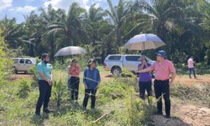 โครงการนำร่องต้นแบบการผลิตถั่วเหลืองตามมาตรฐานเกษตรอินทรีย์สากลและแฟร์เทรด