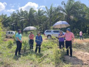 โครงการนำร่องต้นแบบการผลิตถั่วเหลืองตามมาตรฐานเกษตรอินทรีย์สากลและแฟร์เทรด