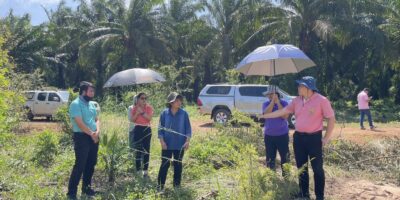 โครงการนำร่องต้นแบบการผลิตถั่วเหลืองตามมาตรฐานเกษตรอินทรีย์สากลและแฟร์เทรด