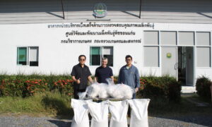 ช่วยเหลือและสนับสนุนเมล็ดพันธุ์พืชแก่เกษตรกรผู้ประสบภัยพิบัติจากสถานการณ์อุทกภัยในพื้นที่ต่าง ๆ