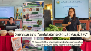 วิทยากรบรรยาย “เทคโนโลยีการผลิตเมล็ดพันธุ์ถั่วลิสง” กลุ่มเศรษฐกิจพอเพียงในชุมชนบ้านนาเสถียร อำเภอเปือยน้อย จังหวัดขอนแก่น