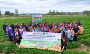 กิจกรรมแลกเปลี่ยนเรียนรู้ เรื่อง ผลิตเมล็ดพันธุ์ถั่วลิสงอย่างไร ให้ได้คุณภาพและสร้างรายได้ที่ยั่งยืน