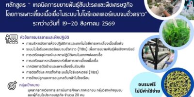 เปิดรับสมัคร”เทคนิคการขยายพันธุ์สับปะรดและพืชเศรษฐกิจด้วยการเพาะเลี้ยงเนื้อเยื่อในระบบไบโอรีแอคเตอร์แบบจมชั่วคราว (TIBs)”
