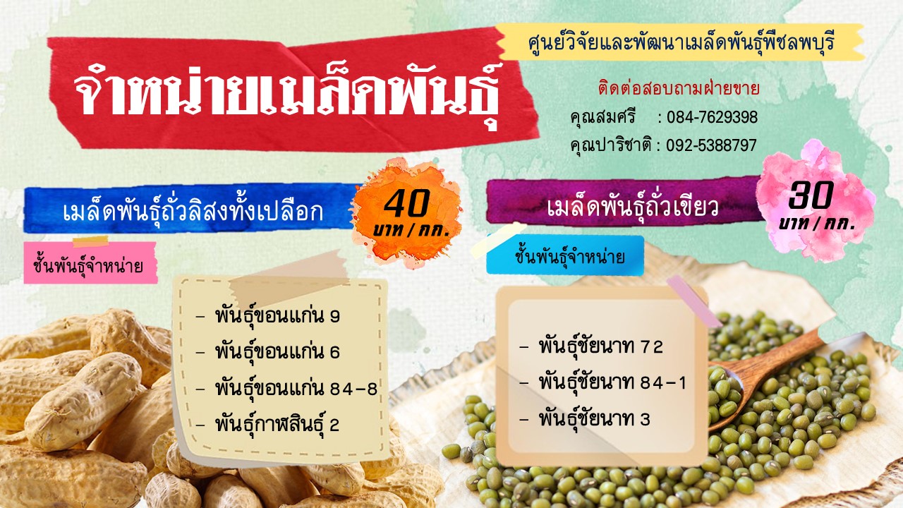 จำหน่ายเมล็ดพันธุ์/ท่อนพันธุ์
