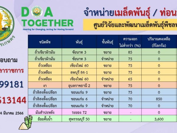 ข้อมูลเมล็ดพันธุ์คงเหลือ ณ วันที่ 24 มีนาคม 2566