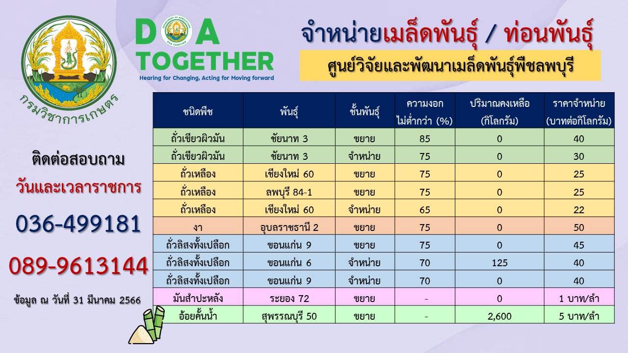 ข้อมูลจำหน่าย เมล็ดพันธุ์คงเหลือ ณ วันที่ 31 มีนาคม 2566