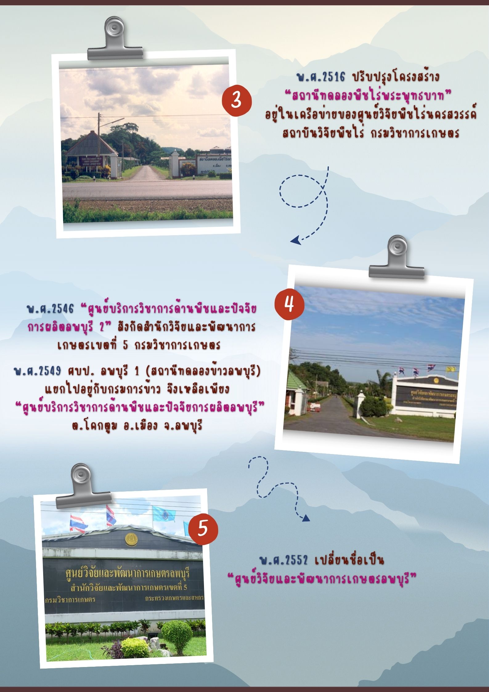 บทบาทหน้าที่ (10)