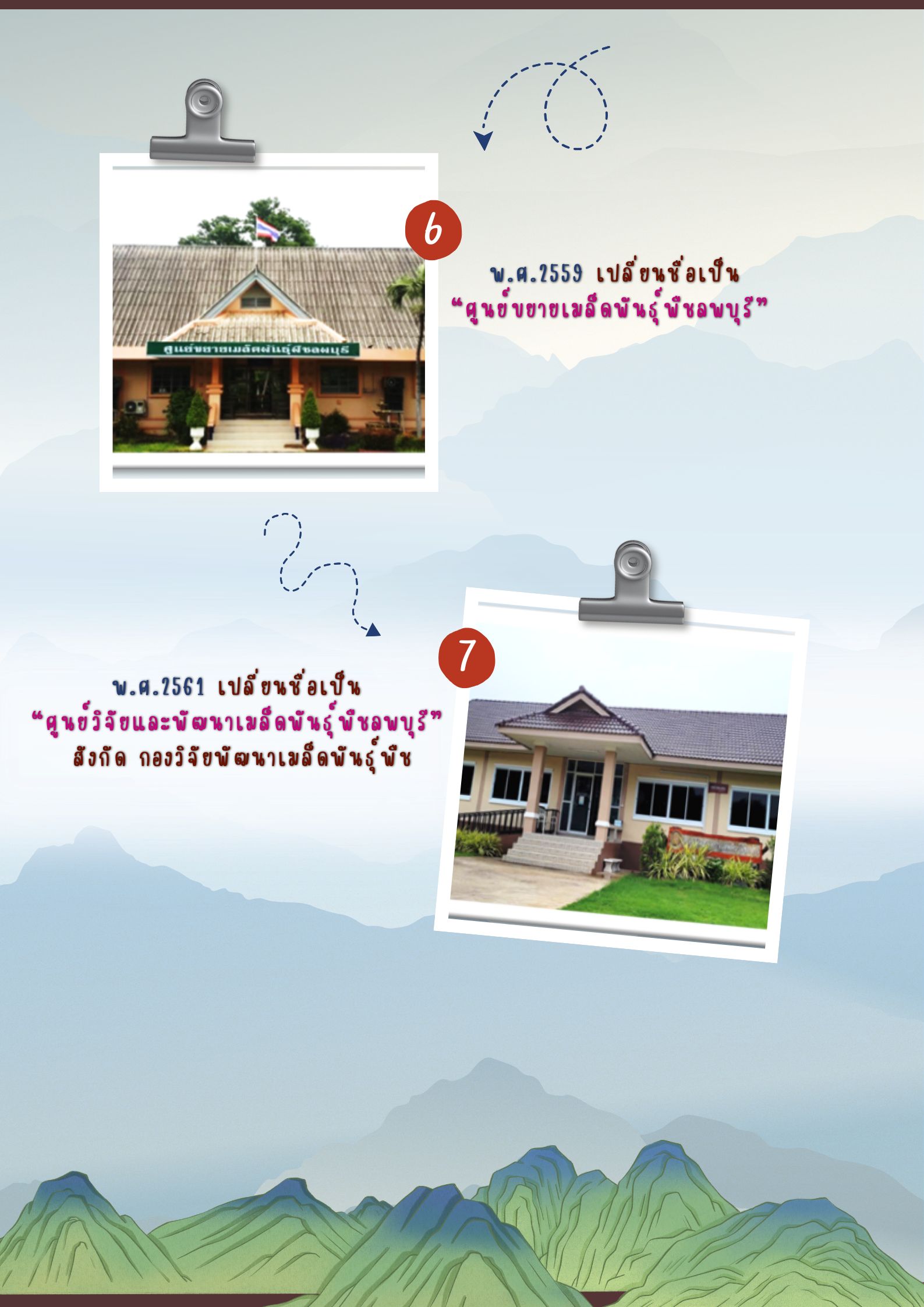 บทบาทหน้าที่ (11)