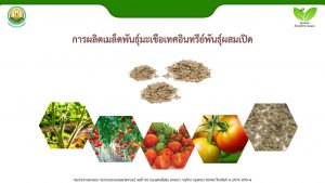 สไลด์1