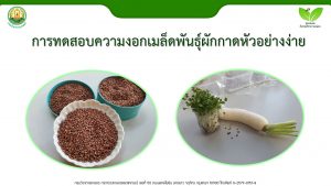 สไลด์1