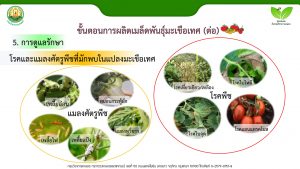 สไลด์10