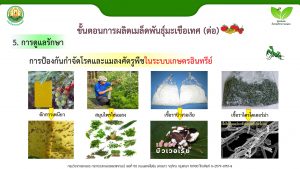 สไลด์11