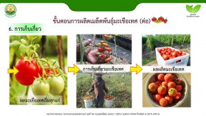 สไลด์12