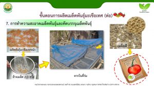 สไลด์14