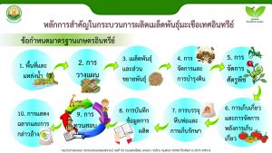 สไลด์2