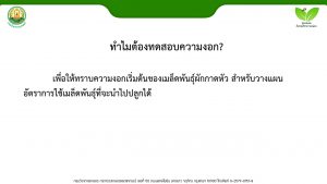 สไลด์2