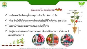 สไลด์3
