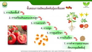 สไลด์4
