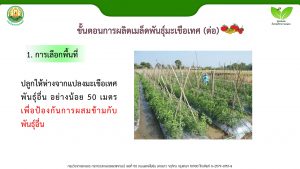สไลด์5
