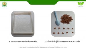 สไลด์5