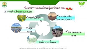 สไลด์6