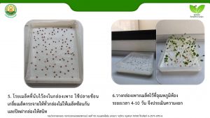 สไลด์6